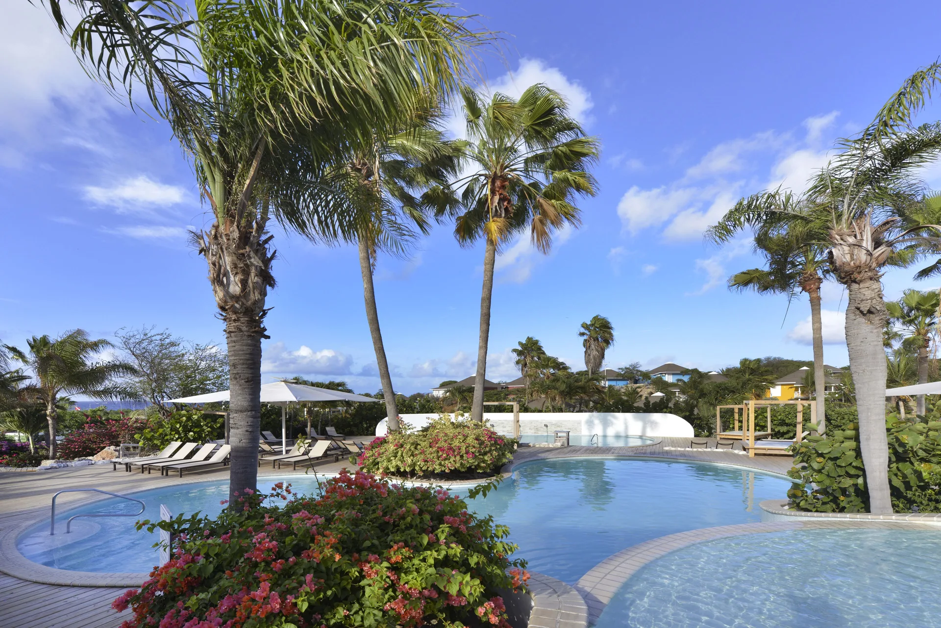 Chogogo Dive and Beach Resort Curacao colorful resort with beach access, pools, and dive-friendly setting