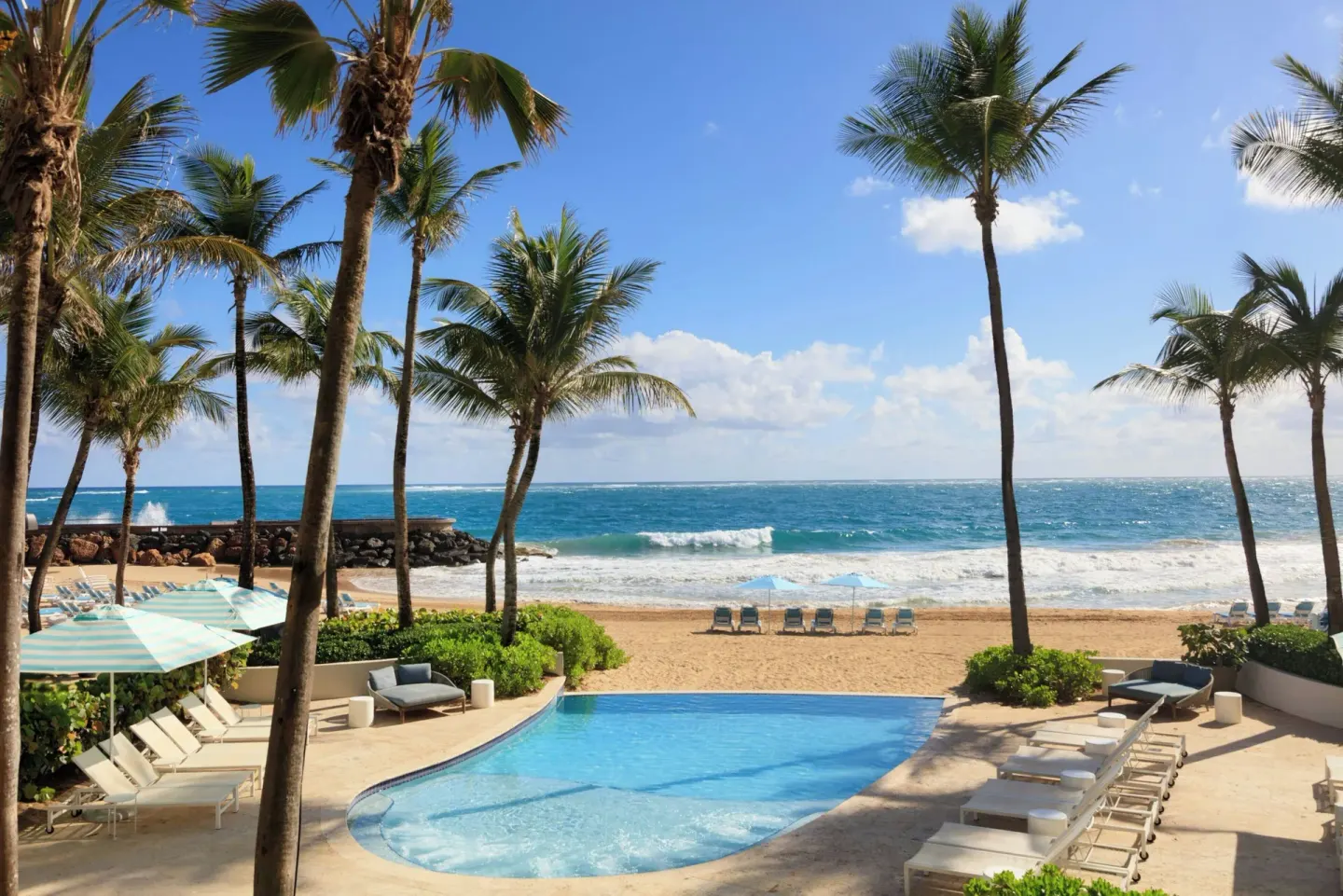 Beachfront pool framed by palm trees at La Concha Resort, Puerto Rico.