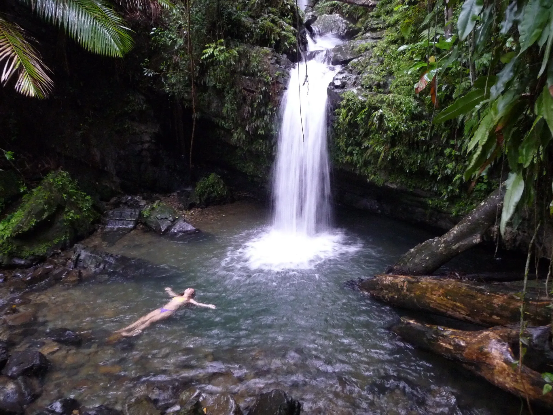 Forest waterfall and natural pool near La Concha Resort, Puerto Rico.