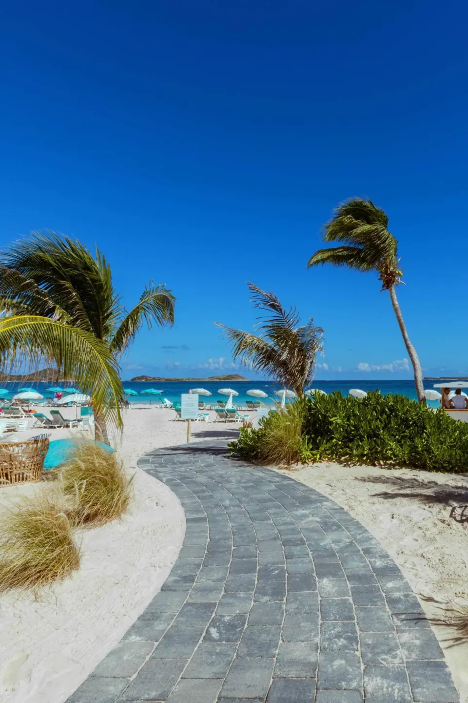 Curved stone walkway through palms and sand toward the beach at La Playa Orient Bay.