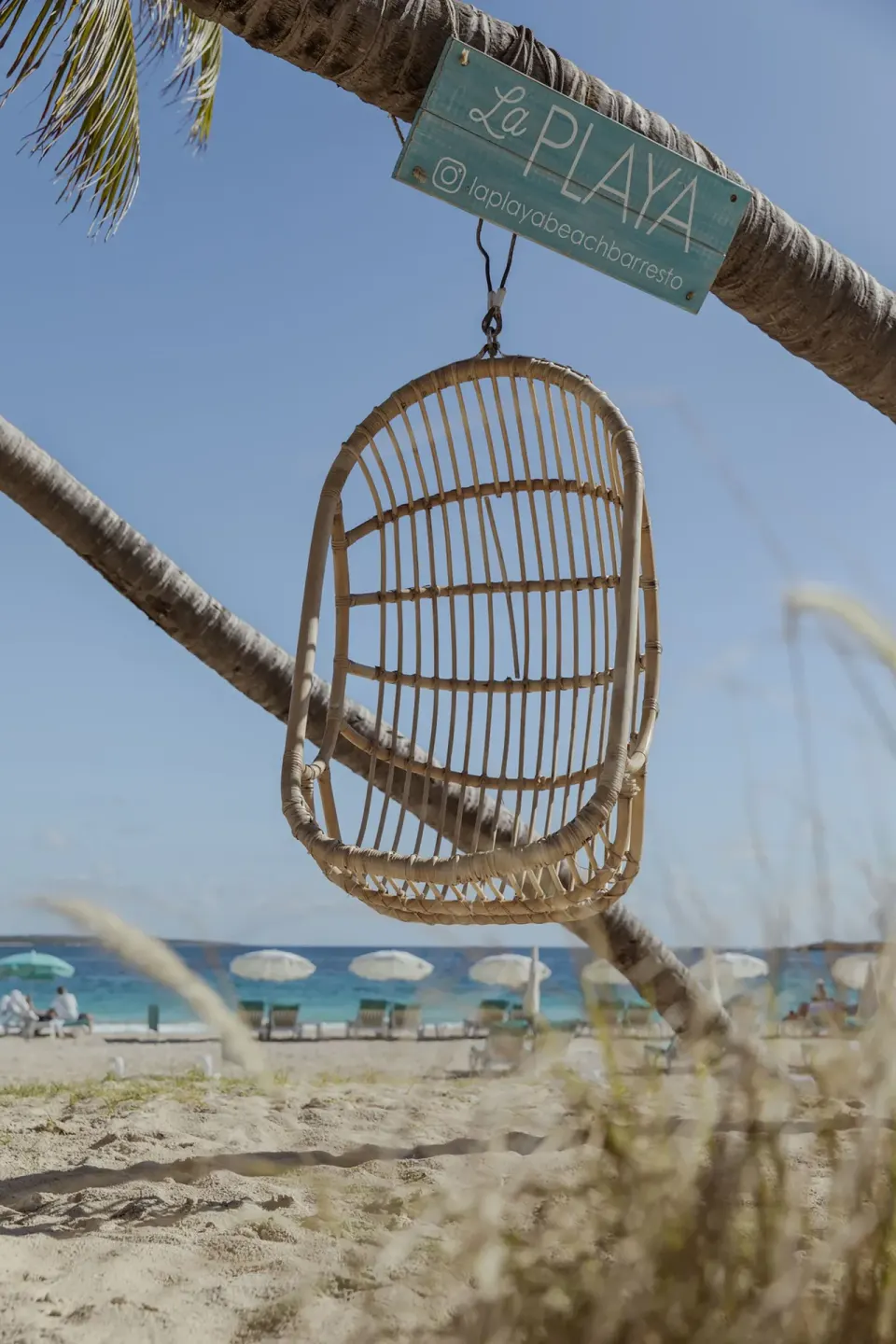Hanging rattan chair under a palm beside the beach at La Playa Orient Bay.