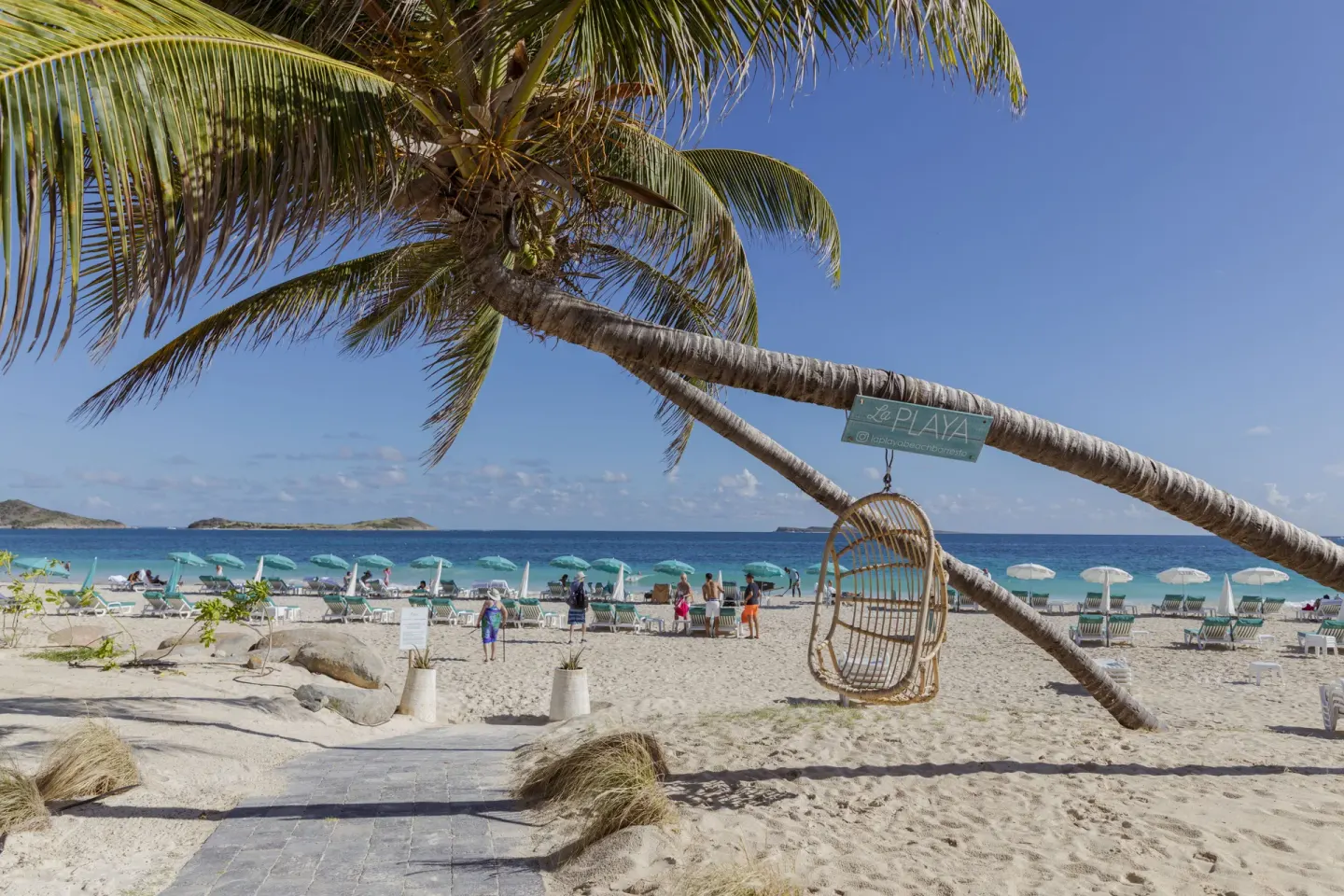 Palm tree, beach loungers, and turquoise sea on the sand at La Playa Orient Bay.