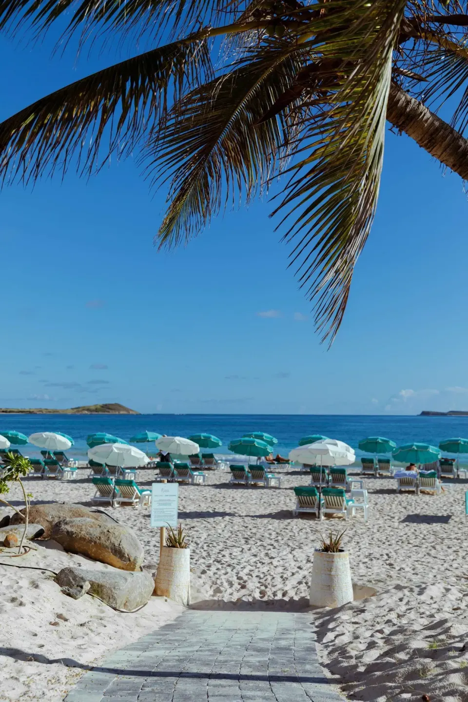 Palm-framed beach path leading to loungers and umbrellas at La Playa Orient Bay.