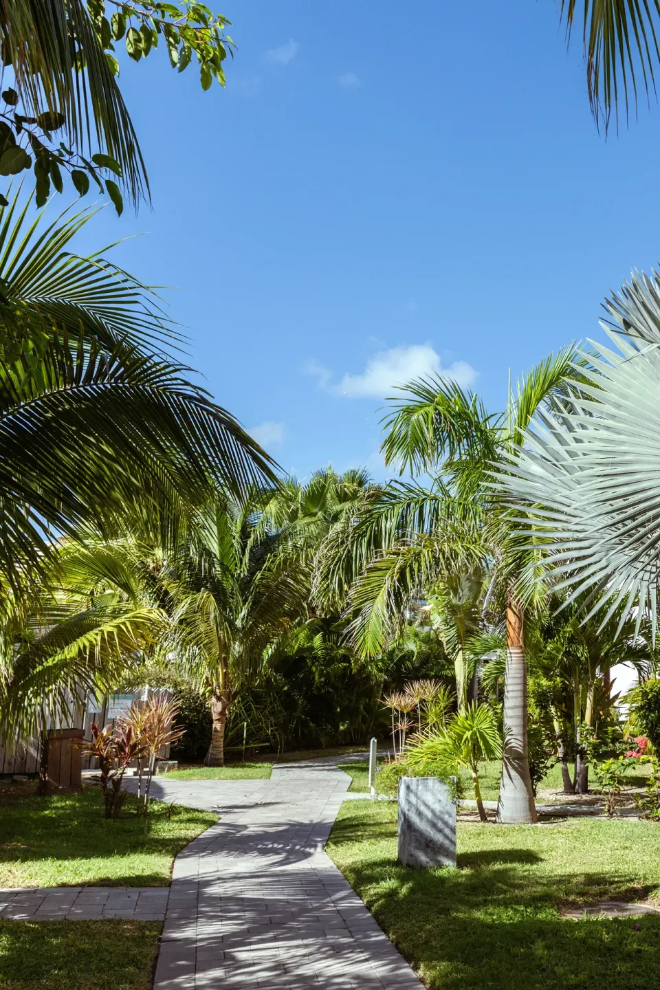 Garden walkway with palms and tropical plants at La Playa Orient Bay.