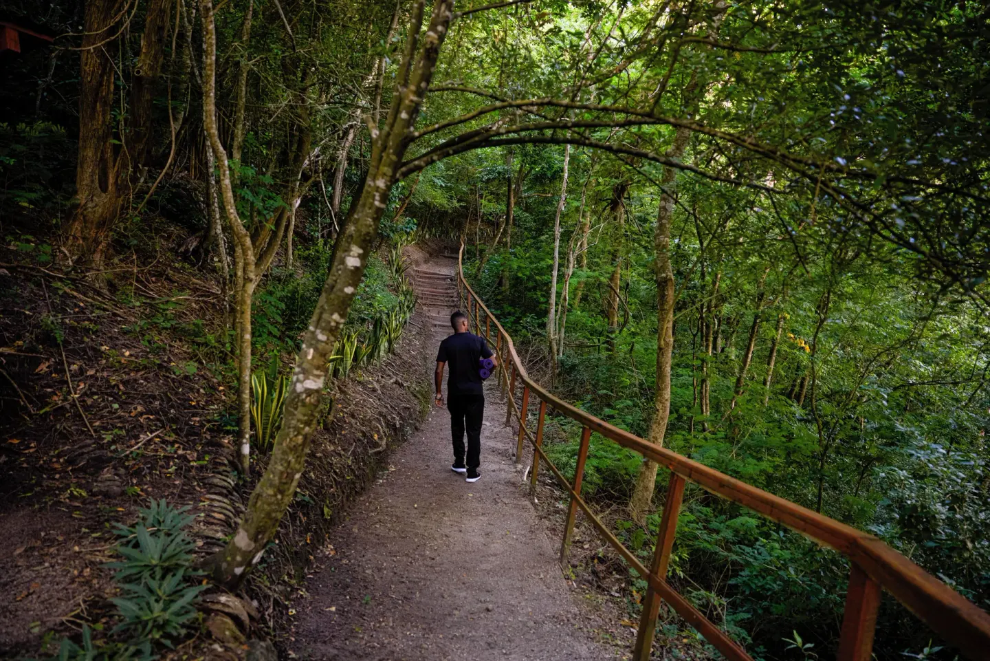 A guest walks along a forest trail with a wooden railing at Ladera Resort.