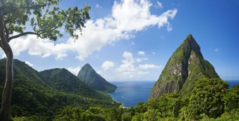 Panoramic view of the Pitons, forest, and sea from Ladera Resort.