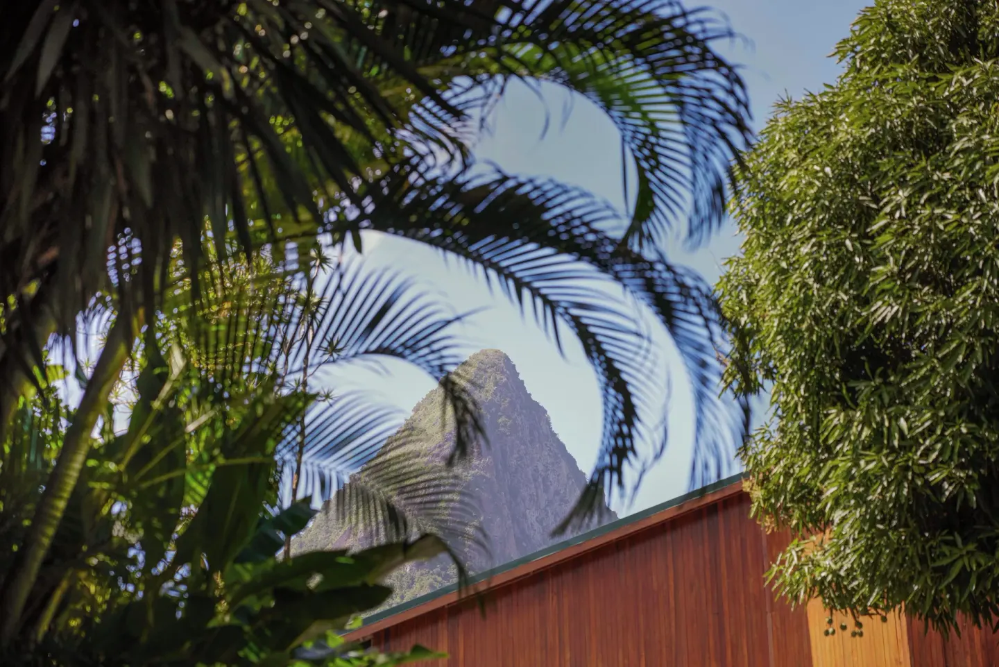 Piton peak seen through palms and tropical greenery at Ladera Resort.