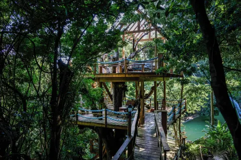 Wooden tree deck and walkway in lush tropical grounds at Ladera Resort.