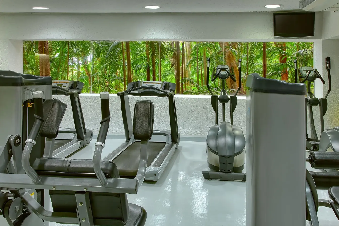 Fitness room with treadmills, exercise machines, and palm views at Las Brisas Ixtapa.