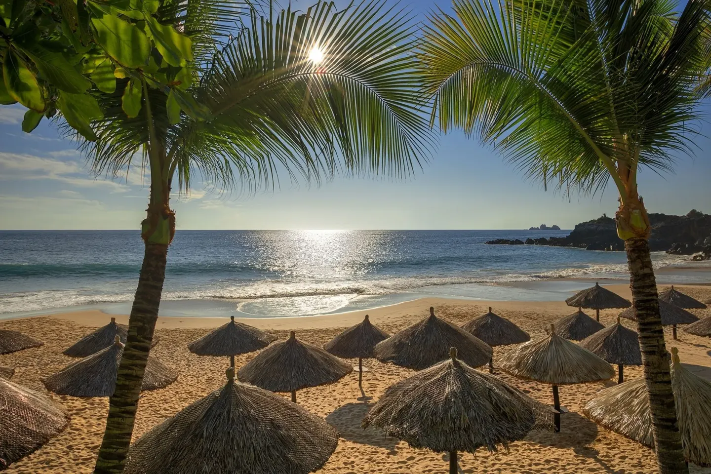 Palm trees and thatched beach umbrellas face the ocean at Las Brisas Ixtapa.