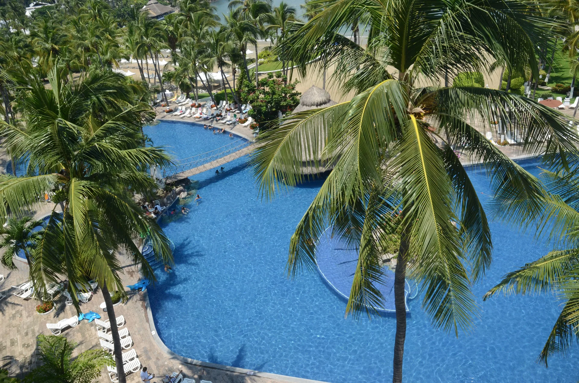 Aerial view of the large palm-lined pool area with loungers at Las Hadas.