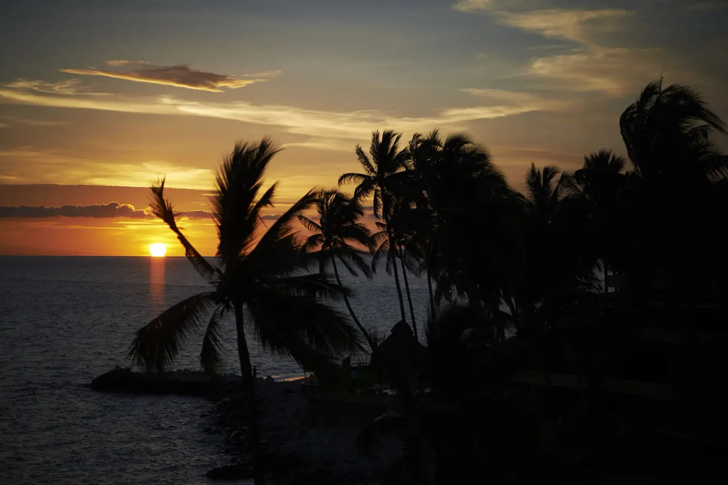 Sunset over the ocean at Las Palmas by the Sea with palm trees silhouetted along the shore.