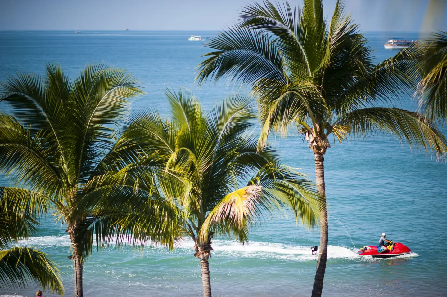 Palm trees at Las Palmas by the Sea frame the ocean as a red personal watercraft passes near shore.