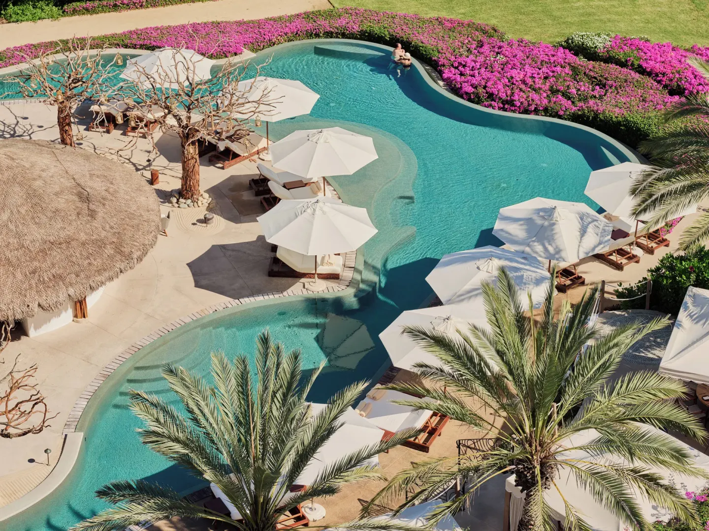Aerial view of the resort pool with palms, flowers, and umbrellas at Las Ventanas al Paraiso.