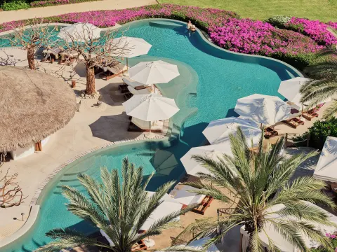 Aerial view of the resort pool with palms, flowers, and umbrellas at Las Ventanas al Paraiso.