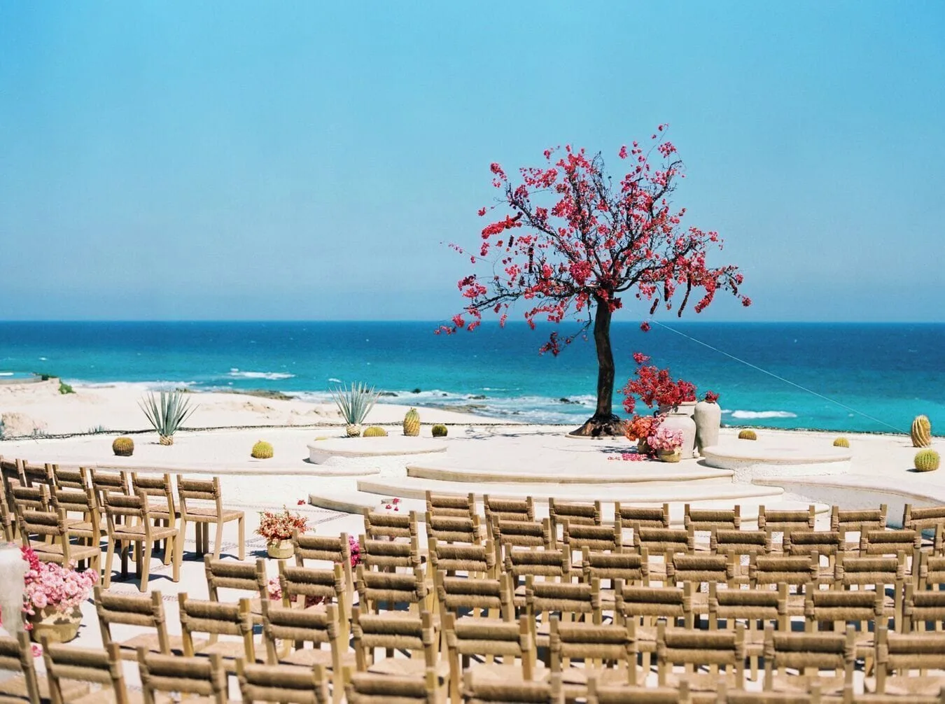Oceanfront wedding ceremony chairs face a flowering tree at Las Ventanas al Paraiso.