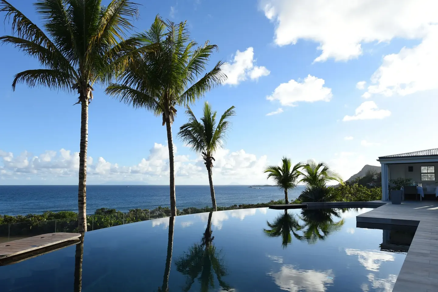 Infinity pool with palm trees and ocean view at Le Toiny Hôtel & Beach Club.