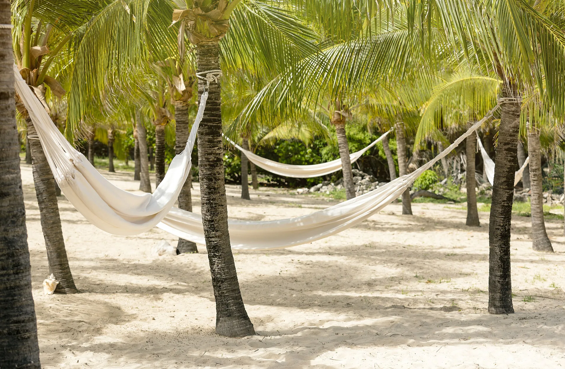 White hammocks hang between palm trees on the sand at Le Toiny Hôtel & Beach Club.