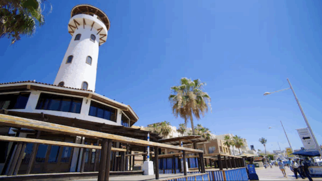 Cabo San Lucas Marina featuring yachts, waterfront walkways, shops, and restaurants in the Marina del Rey district.