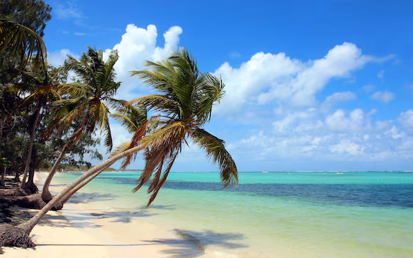 Bavaro Beach near Breathless Punta Cana with iconic palm-lined white sand and turquoise Caribbean waters