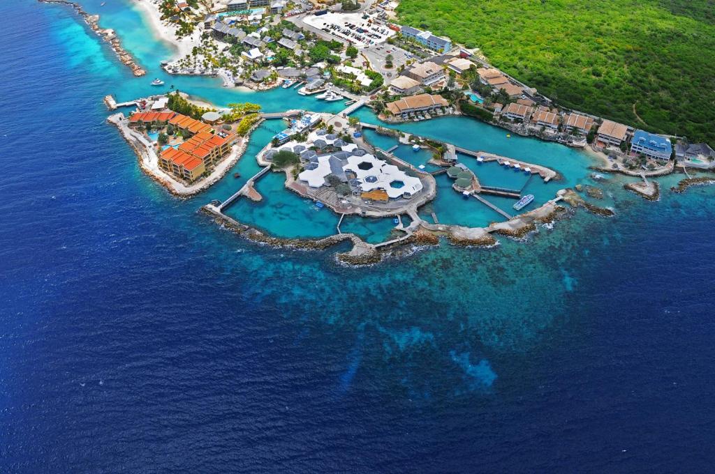 Dolphin Suites & Wellness Curaçao boutique wellness hotel with pool, spa services, and tranquil setting near Willemstad.