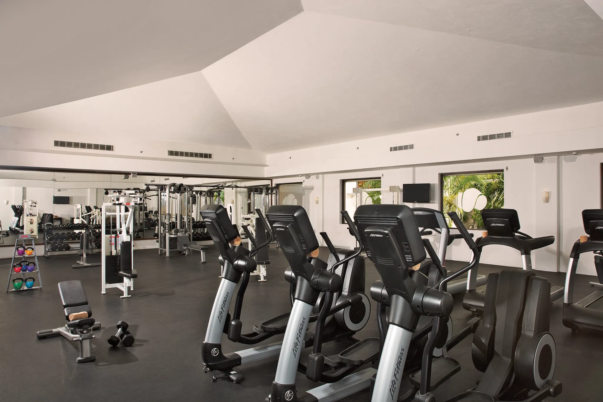 Modern fitness center with cardio machines and weights at Dreams Los Cabos Suites Golf Resort & Spa.