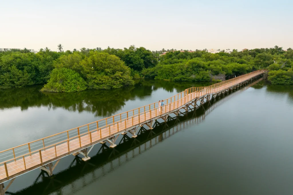 Aerial view of a long wooden walkway over lush mangroves at Dreams Royal Beach Punta Cana.