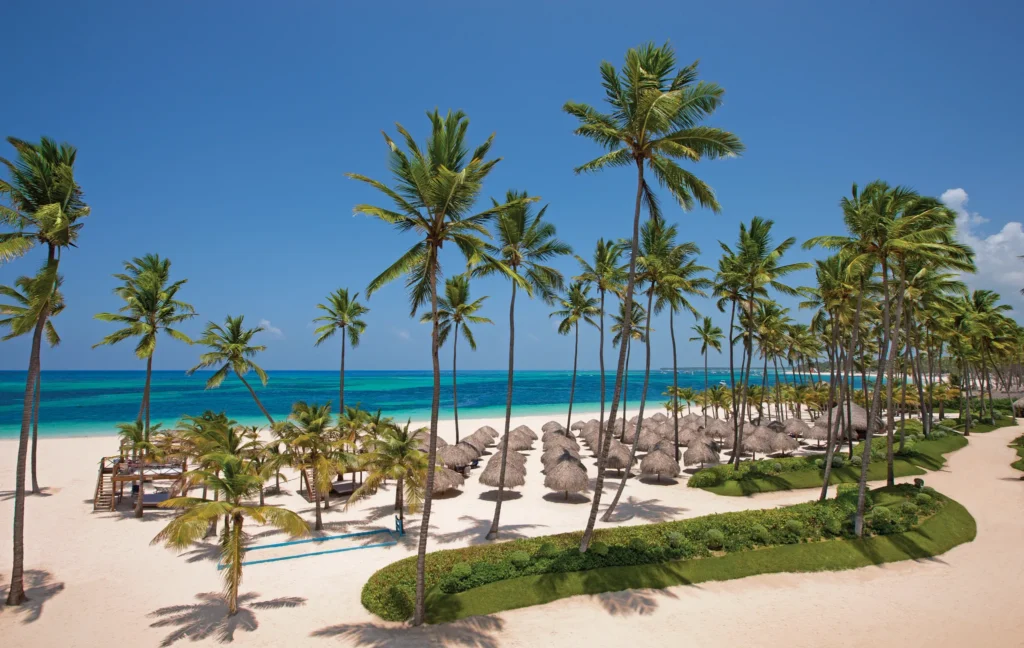 Palm trees and thatched umbrellas lining the beach at Dreams Royal Beach Punta Cana.