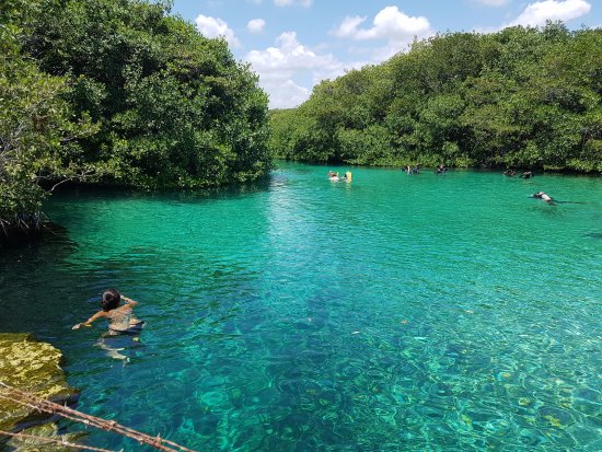 Casa Cenote Area near Dreams Tulum Resort & Spa featuring crystal-clear cenote waters, tropical scenery, and outdoor adventure opportunities