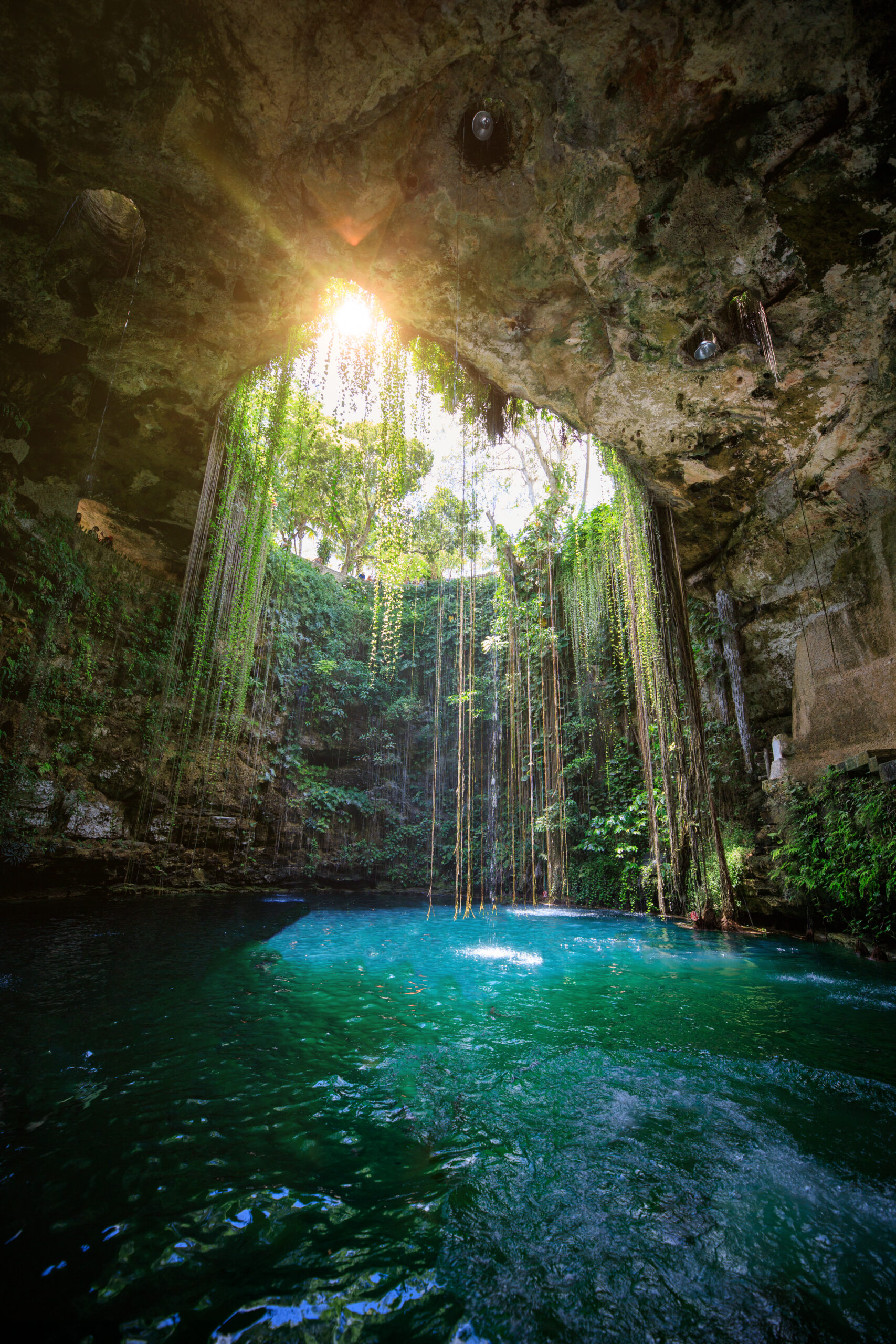 beautiful sunlight in a cenote of mexico