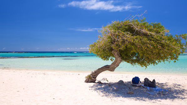 Baby Beach near Secrets Baby Beach Aruba with crystal-clear turquoise waters and soft white sand