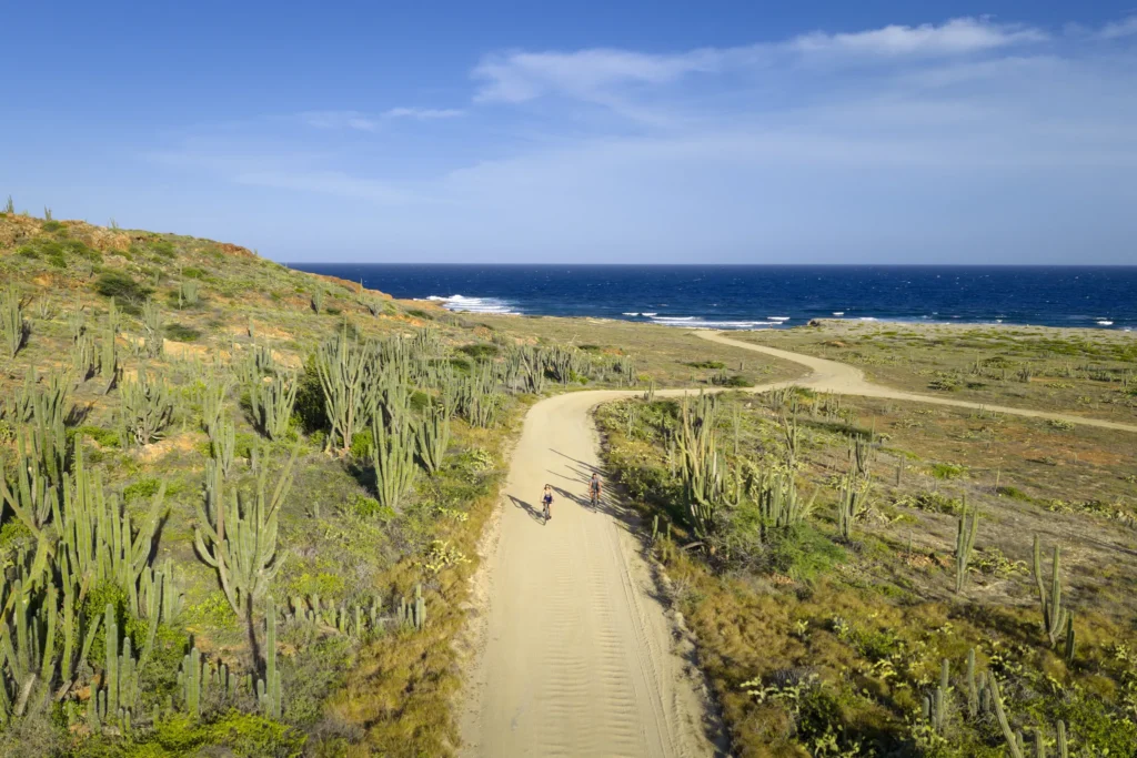 Couple biking along a scenic coastal path with ocean views near Secrets Baby Beach Aruba.