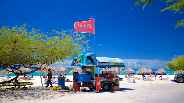 Eagle Beach near Secrets Baby Beach Aruba with wide white sand shoreline and iconic divi-divi trees