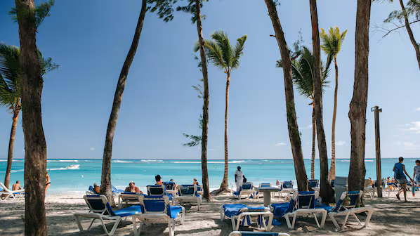 Cortecito Beach near Secrets Royal Beach Punta Cana with palm-lined shore and clear Caribbean waters