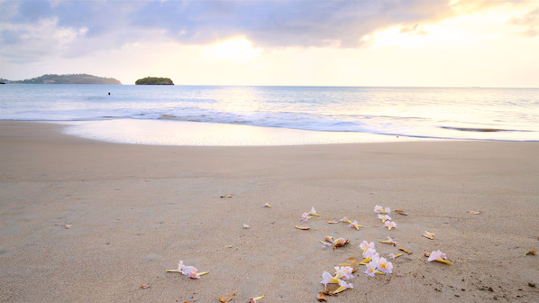 Choc Beach near Secrets St. Lucia Resort & Spa with scenic Caribbean shoreline and relaxing coastal views