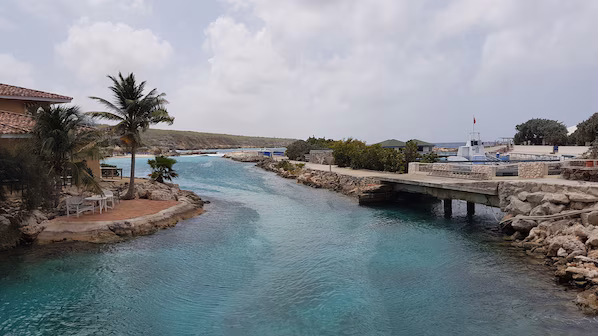 Curaçao Sea Aquarium near Sunscape Curaçao Resort Spa & Casino with marine exhibits and oceanfront views