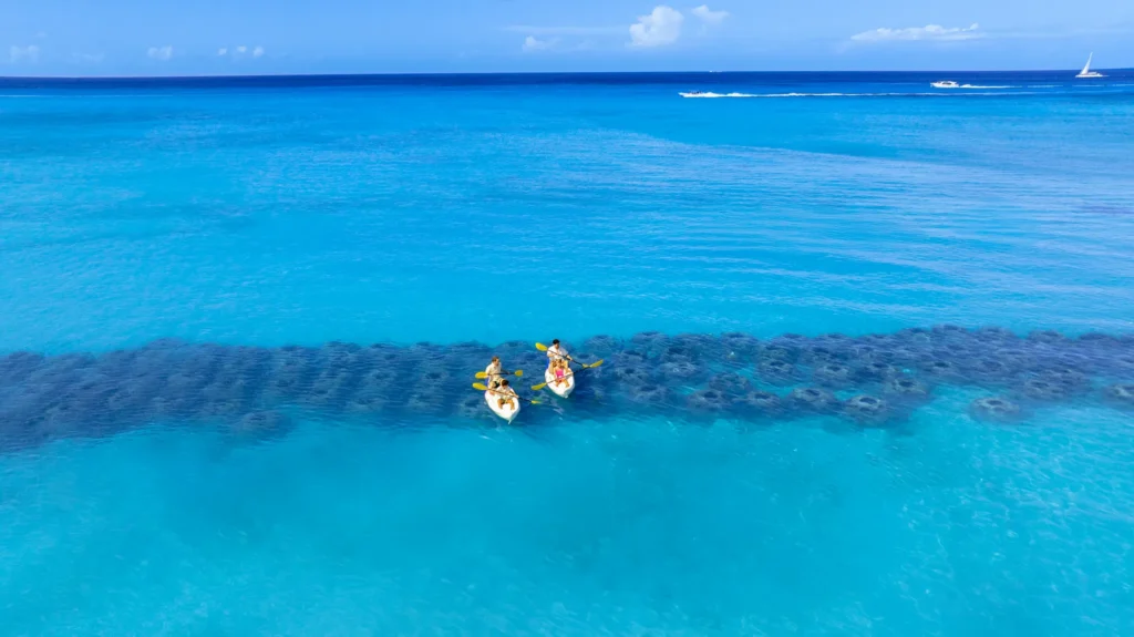 Family kayaking in clear turquoise waters near Sunscape Dominicus La Romana in the Caribbean.