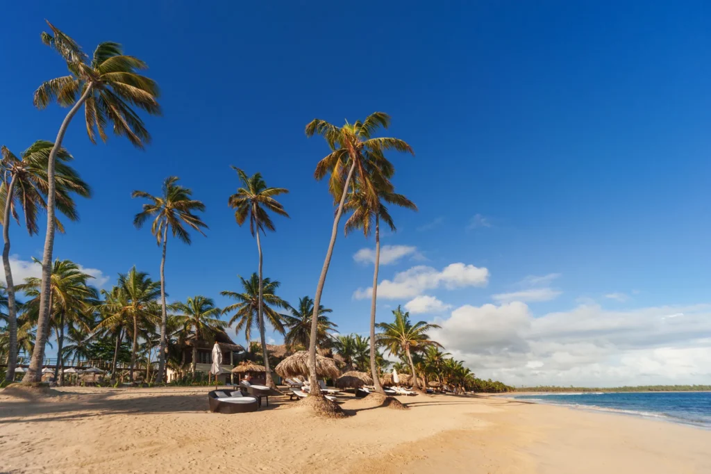 Palm-lined white sand beach with lounge chairs at Zoëtry Agua Punta Cana in Punta Cana.