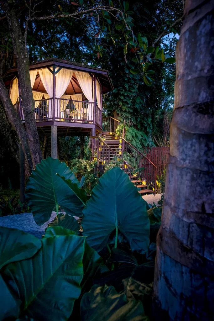 Illuminated treehouse pavilion at night surrounded by lush tropical foliage at Zoëtry Marigot Bay St. Lucia.