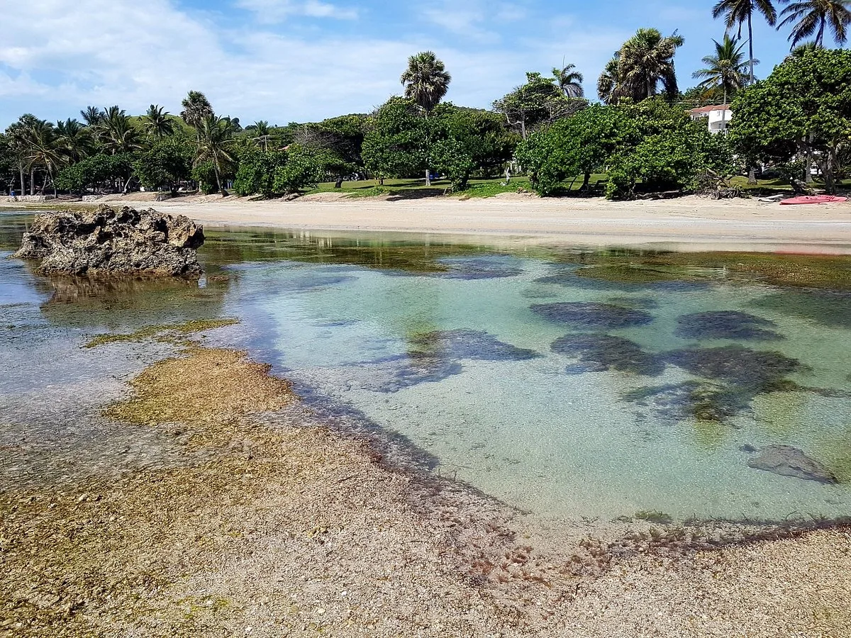Cofresi Beach 5 Min Walk