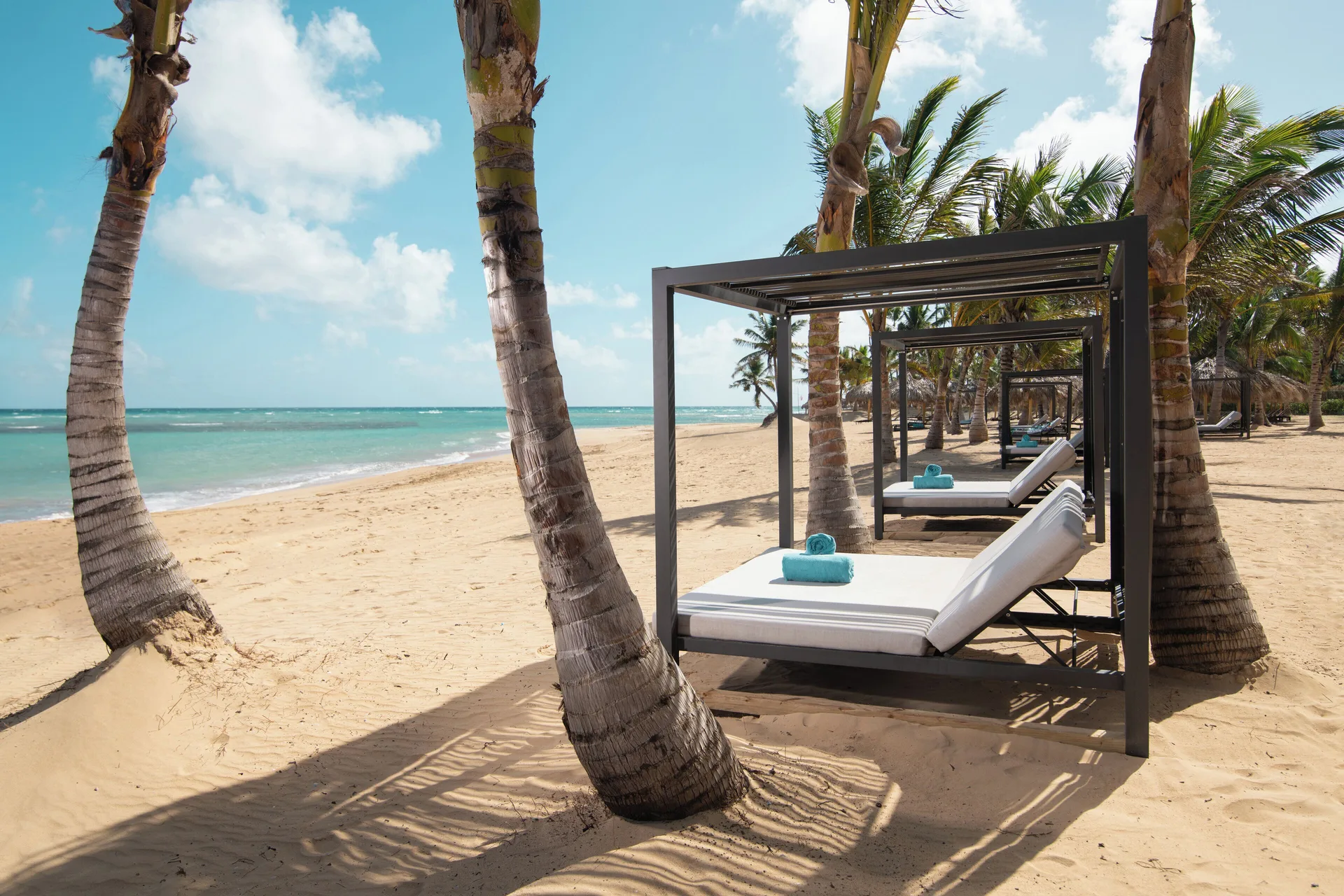 Beach daybeds with turquoise towels beneath palms at Live Aqua Punta Cana.