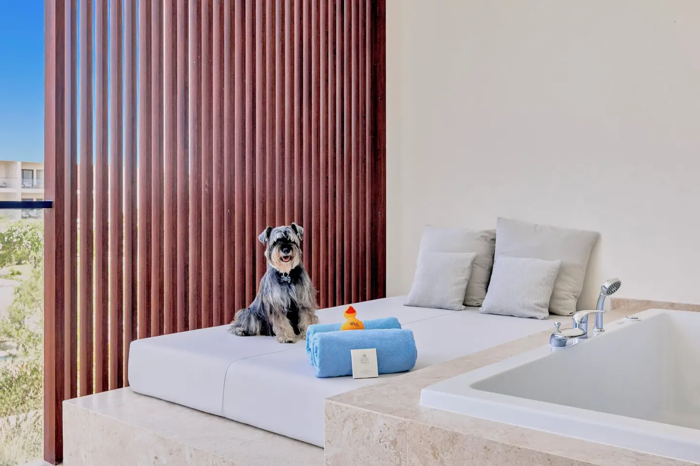 Outdoor terrace daybed with a dog, towels, and soaking tub at Live Aqua Punta Cana.