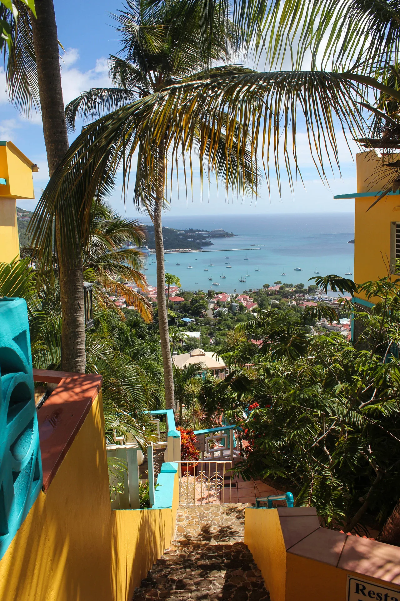 Stone steps and palm-framed harbor view at Mafolie Hotel.