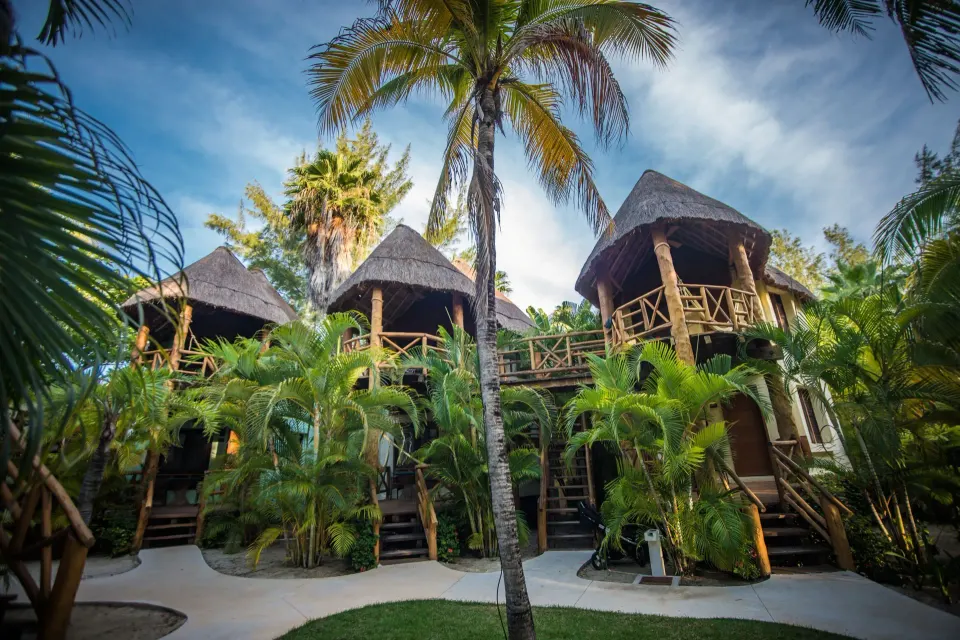 Thatched palapa bungalows surrounded by palms at Mahekal Beach Front Resort & Spa