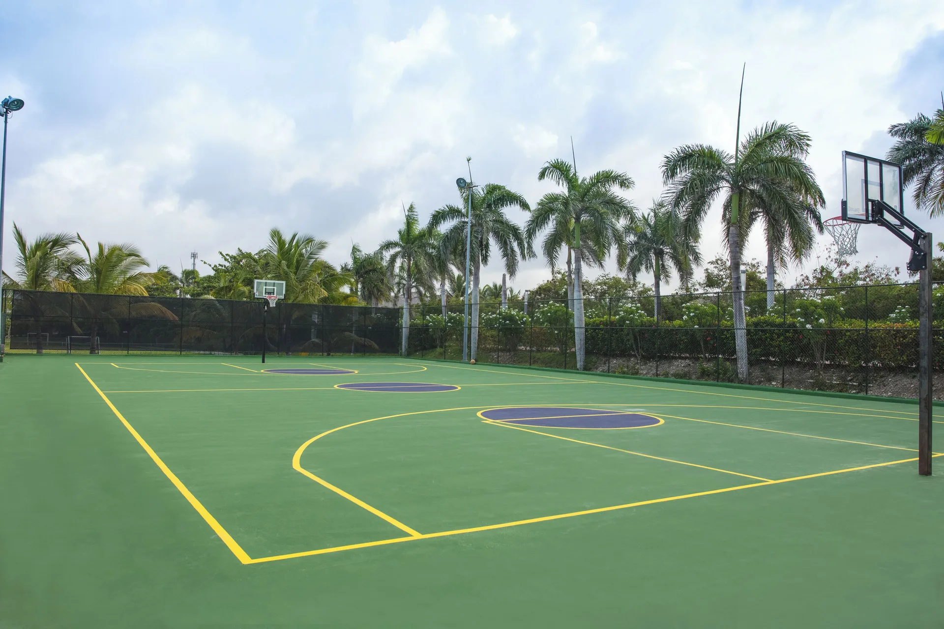 Outdoor basketball court with palm trees at Majestic Elegance Punta Cana.