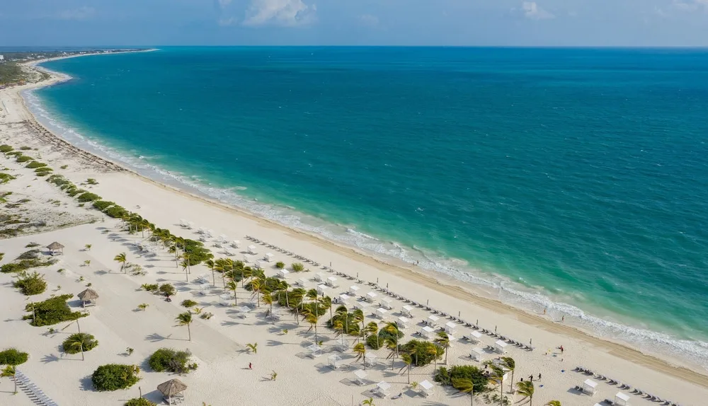 Aerial view of the beach, palms, loungers and turquoise sea at Majestic Mirage Costa Mujeres.