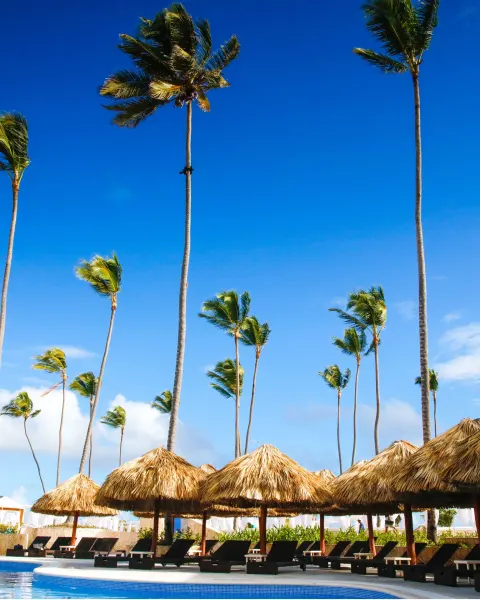 Poolside palapas, lounge chairs, and tall palms at Majestic Mirage Punta Cana.