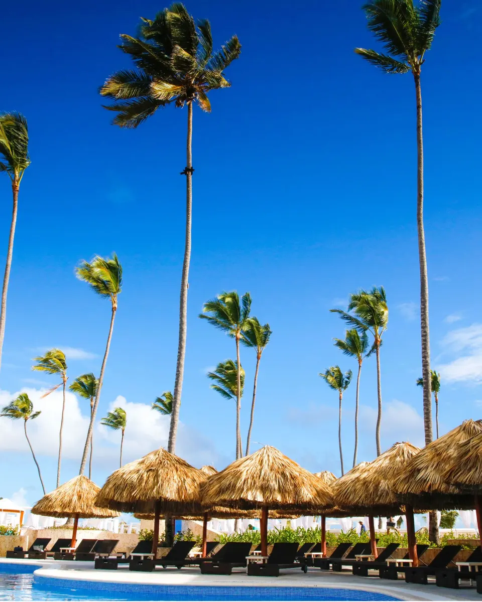 Poolside palapas, lounge chairs, and tall palms at Majestic Mirage Punta Cana.