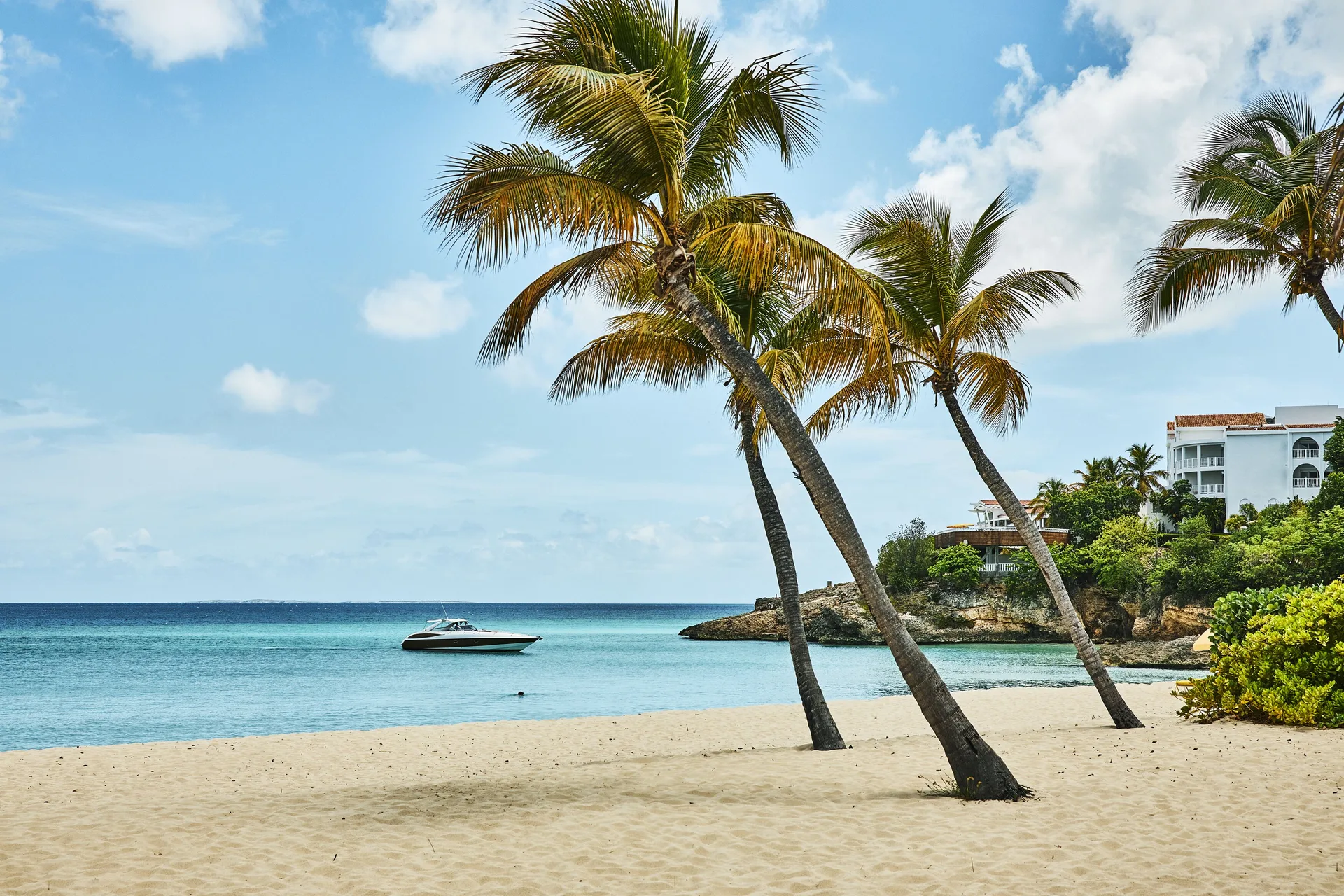 Sandy beach with palm trees and turquoise water at Malliouhana Resort Anguilla.