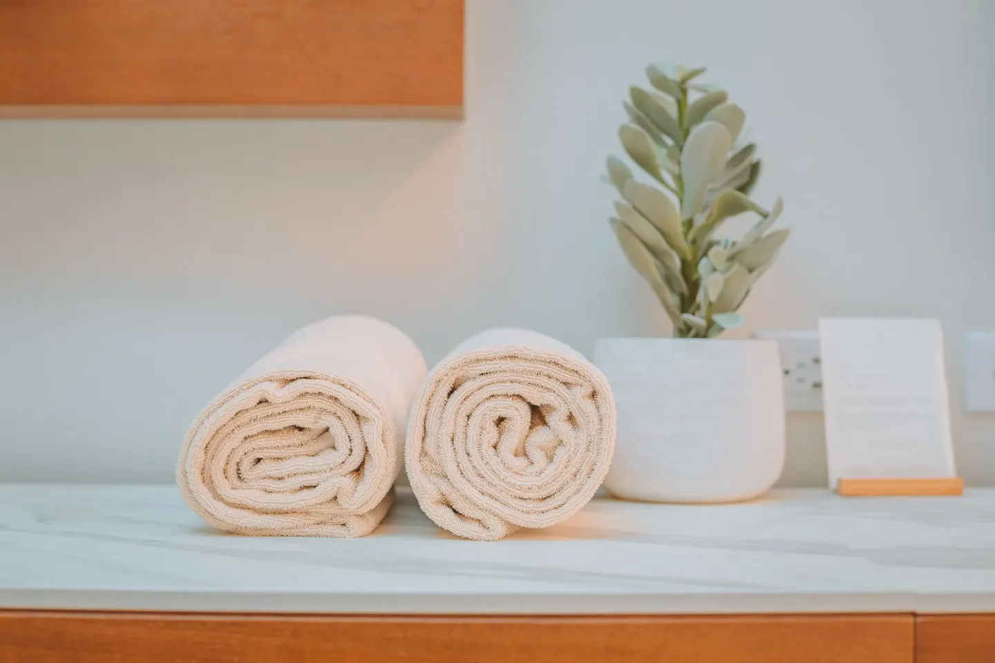 Rolled towels and a small potted plant on a room counter at Manchebo Beach Resort and Spa.